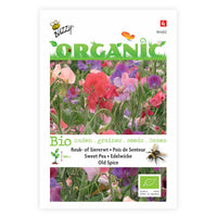 Duft-Wicke Lathyrus 'Old Spice' - Biologisch rot-lila-weiβ 2 m² - Gemüsesamen