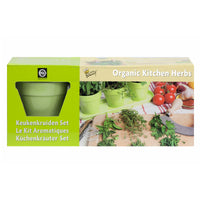 Küchenkräuter - Mischung inkl. grüner Töpfe und Schale - Kräutersamen