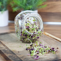 Keimgemüse Pikanter Salatmix - Biologisch inkl. Anzuchtset - Gemüsesamen