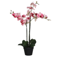Künstliche Pflanze Orchidee Phalaenopsis rosa Inkl. Runder Ziertopf, Kunststoff