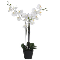 Künstliche Pflanze Orchidee Phalaenopsis weiβ Inkl. Runder Ziertopf, Kunststoff