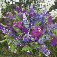 Sommerblumen - Mischung blau 1 m² - Blumensamen
