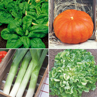Herbstgemüsepaket 'Herrlicher Herbst' - Biologisch - Gemüsesamen