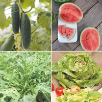 Sommerpaket 'Sonniger Sommer' - Biologisch Gemüsesamen, Kräutersamen, Obstsamen