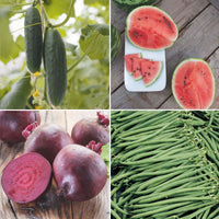 Gemüsegartenpaket 'Bequemes Beet' - Biologisch Gemüsesamen, Obstsamen