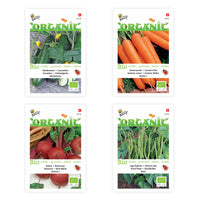 Starterpaket für einen Gemüsegarten für Kinder 'Bequemes Beet' - Biologisch - Gemüsesamen