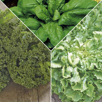 Grünes Smoothie-Paket 'Glühend Grün' - Biologisch - Gemüsesamen
