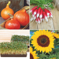 Gemüsegärtnerpaket für Kinder 'Klasse Kids' - Biologisch Gemüsesamen, Kräutersamen, Blumensamen