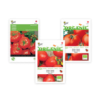 Tomatenpaket Solanum 'Volle Früchte' 30 m² - Gemüsesamen