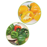 Paprikapaket Capsicum 'Patente Paprika' - Biologisch 10 m² - Gemüsesamen