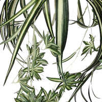 Künstliche Graslilie, hängend und grün inkl. Ziertopf, grün mit Pflanzenhänger