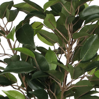 Künstlicher Ficus 'Natasja', grün inkl. Ziertopf, braun