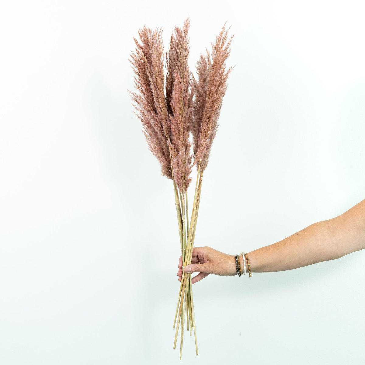 Trockenblumen Pampasgras Deko rosa kaufen