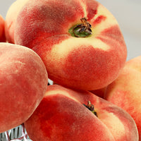 Wilder Pfirsichbaum Prunus ‘Donut‘ - Winterhart